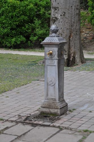 DSC 0529