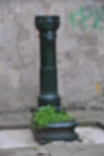 DSC 0576