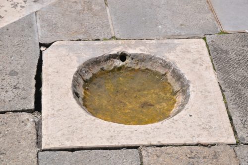 DSC 0338