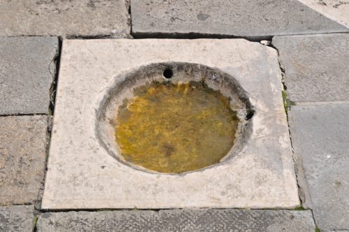 DSC 0339