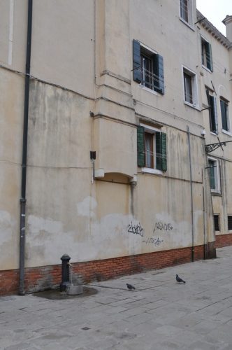 DSC 0619