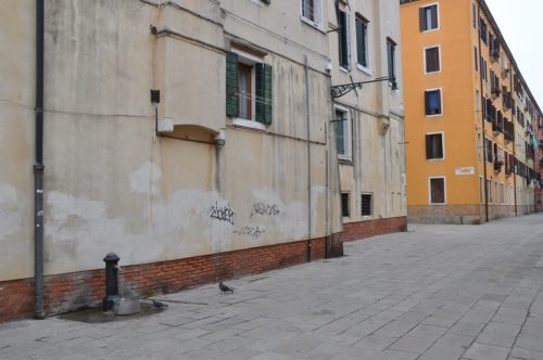 DSC 0620