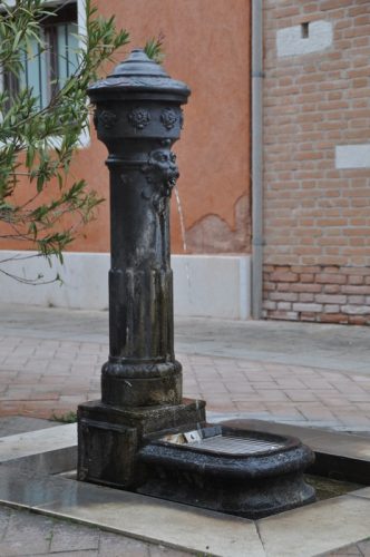 DSC 0664