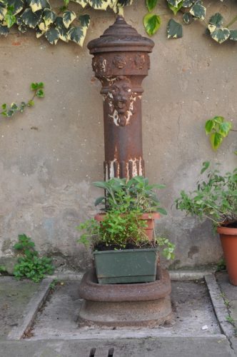 DSC 0412
