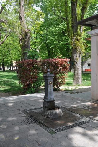 DSC 0219