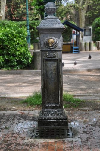 DSC 0220