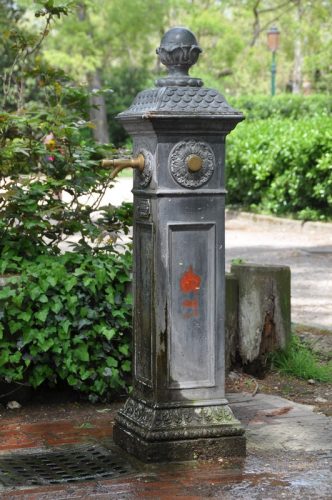 DSC 0222