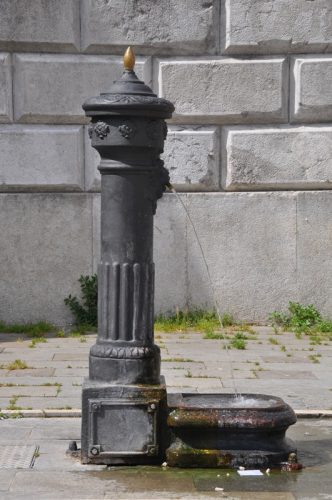 DSC 0179