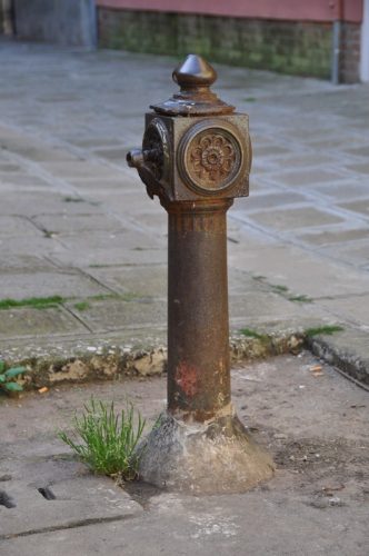 DSC 0355