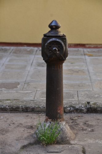 DSC 0356