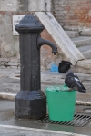 DSC 0146