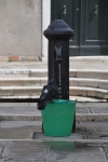 DSC 0147