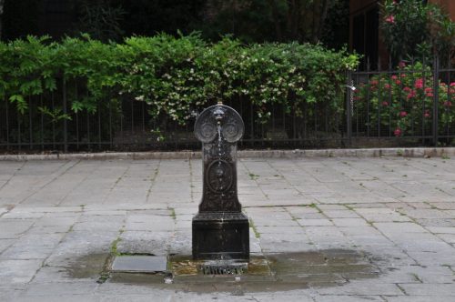 DSC 0583
