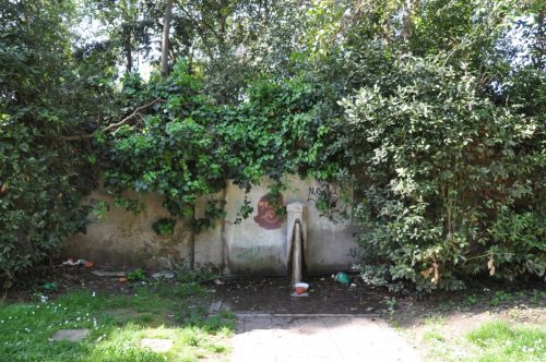 DSC 0347