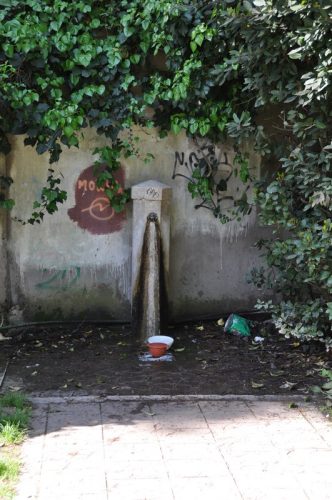 DSC 0348