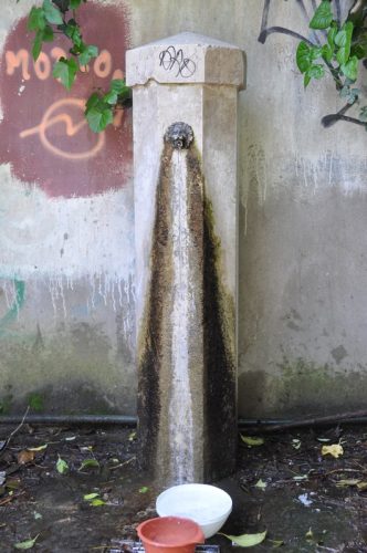 DSC 0349