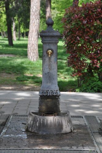 DSC 0212