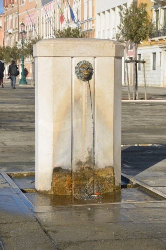 DSC 2113