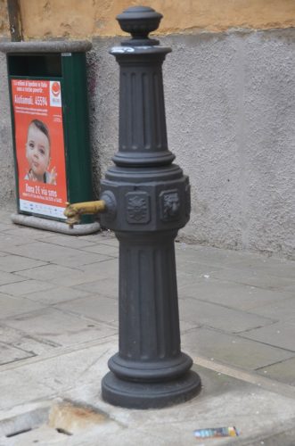 DSC 2075