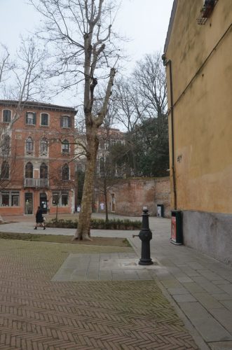 DSC 2076