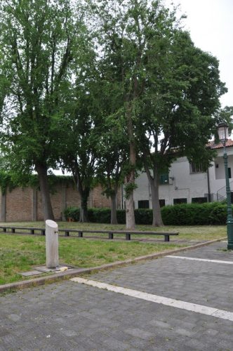 DSC 0975