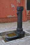 DSC 0995