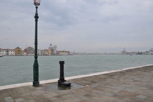 DSC 0029