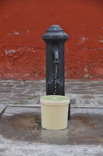 DSC 0065