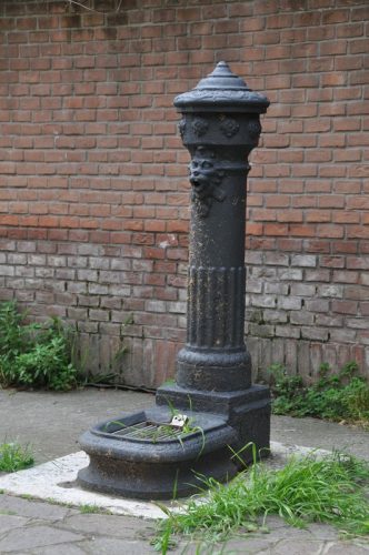 DSC 0049