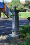 DSC 0668
