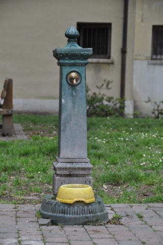 DSC 0233