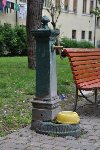 DSC 0234