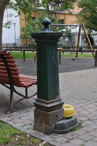 DSC 0235