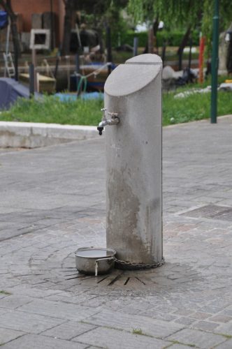 DSC 0223