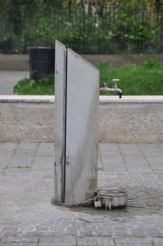 DSC 0225