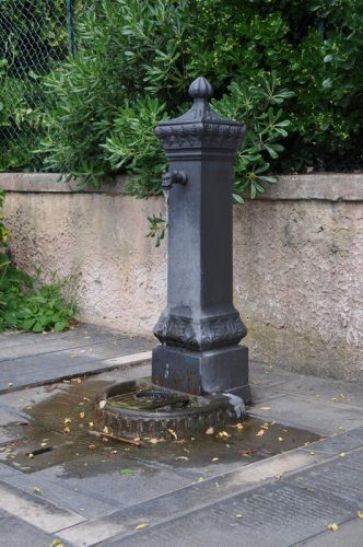 DSC 0611