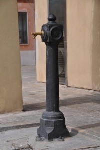 DSC 0239