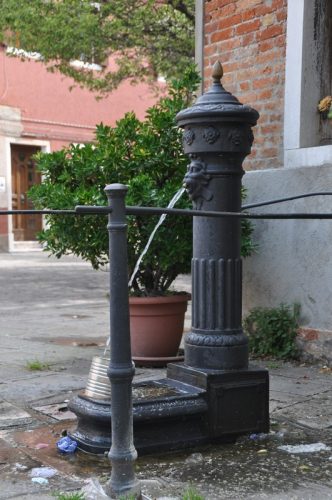 DSC 0229