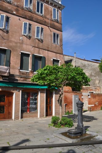 DSC 0207