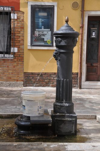 DSC 0247