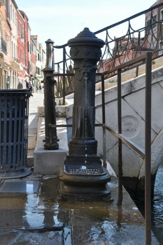 DSC 0195
