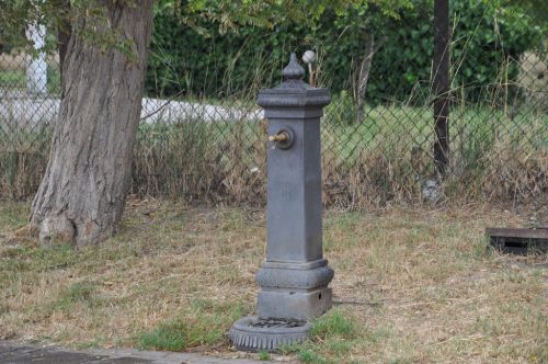 DSC 0081