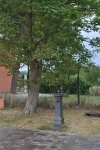 DSC 0082