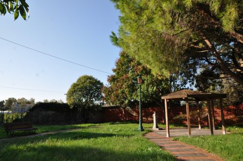 DSC 0440