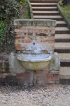 DSC 2921