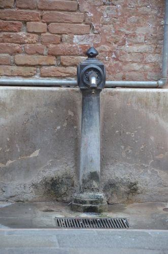 DSC 2530