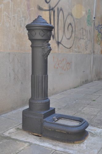 DSC 0287