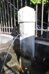 DSC 0041