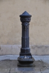 DSC 0995