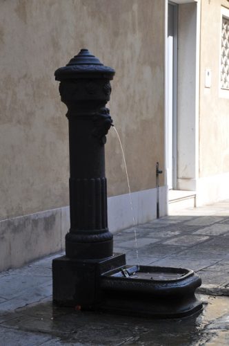 DSC 0996